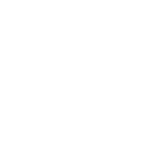 Brand development icon